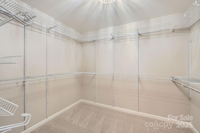 7810 Leisure Ln, Huntersville, NC 28078 - walk in closet featuring carpet floors