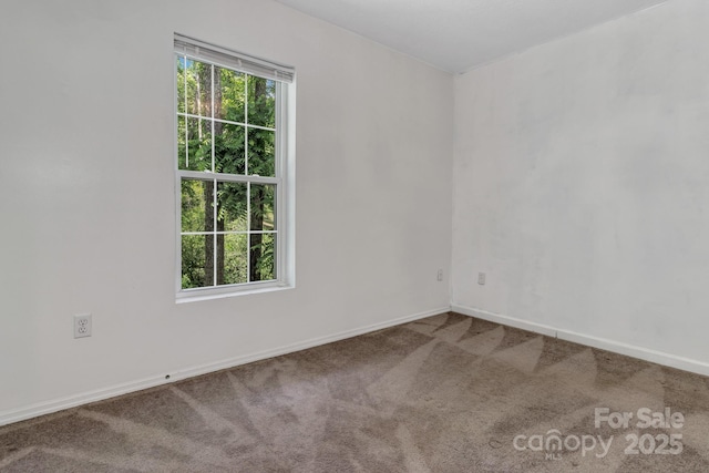 222 New Stock Rd, Weaverville, NC 28787 - unfurnished room with carpet flooring and baseboards
