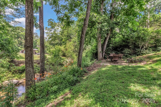222 New Stock Rd, Weaverville, NC 28787 - view of green lawn