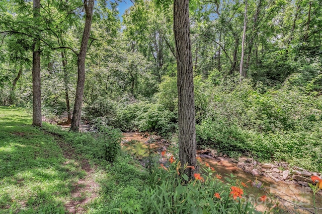 222 New Stock Rd, Weaverville, NC 28787 - view of tree filled area