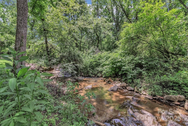222 New Stock Rd, Weaverville, NC 28787 - view of tree filled area