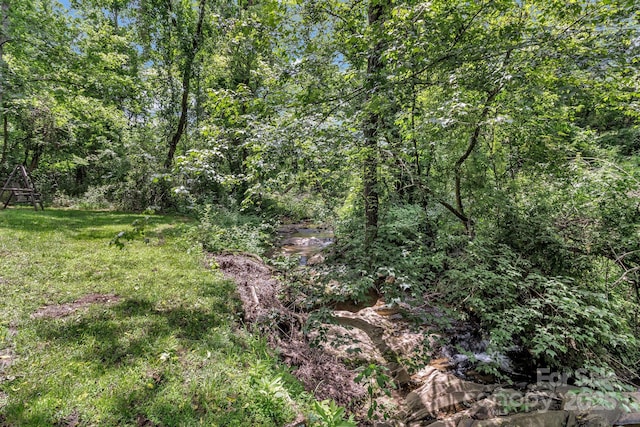 222 New Stock Rd, Weaverville, NC 28787 - view of wooded area