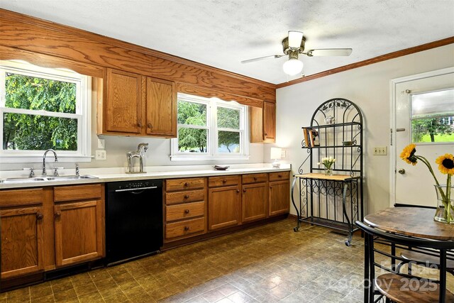2911 Spencer St, Lenoir, NC 28645 - photo 13