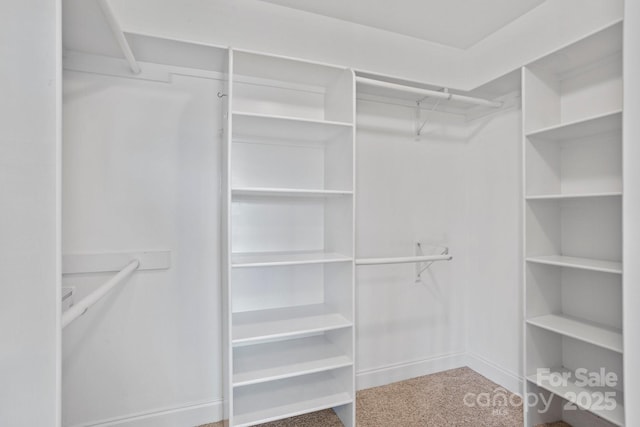 15020 Ranson Rd, Huntersville, NC 28078 - photo 45