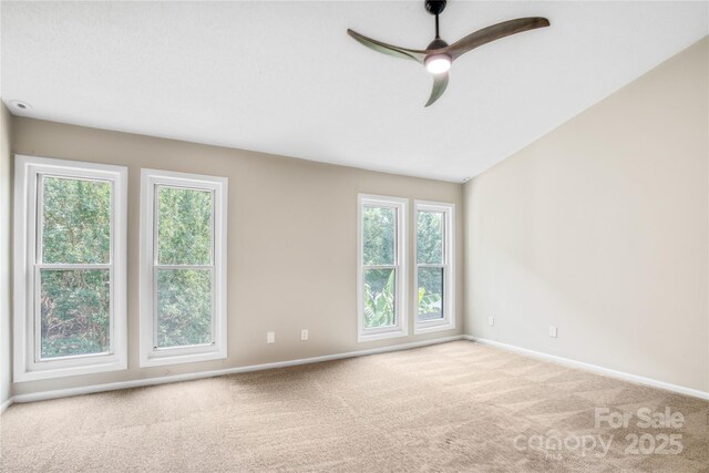 7912 Charter Oak Ln, Charlotte, NC 28226 - photo 14
