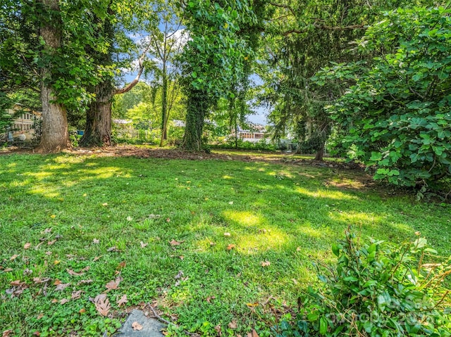109 Falls St, Morganton, NC 28655 - photo 38