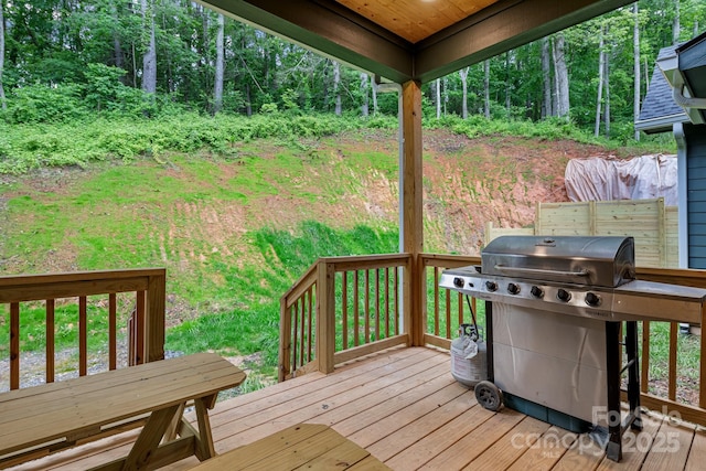32 Gudger Rd, Leicester, NC 28748 - photo 43