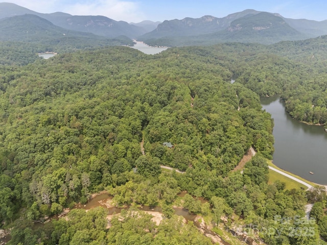 158 Raven Blvd, Lake Lure, NC 28746 - aerial view of property's location featuring a forest and a water and mountain view