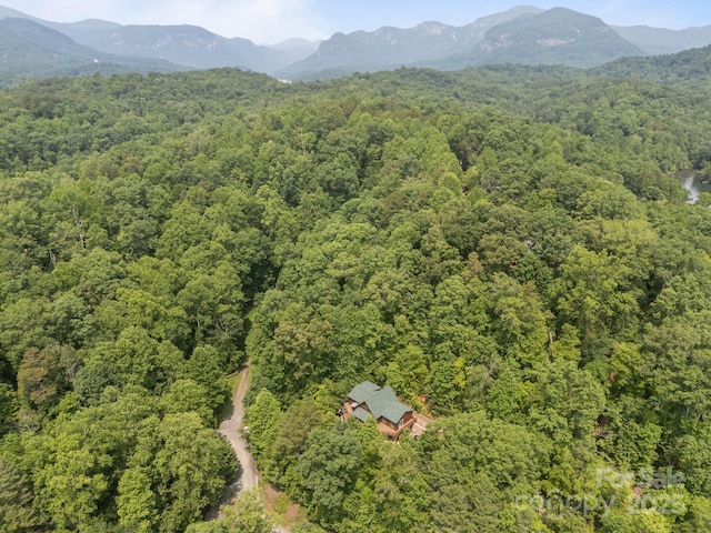 158 Raven Blvd, Lake Lure, NC 28746 - aerial view of a forest and mountains
