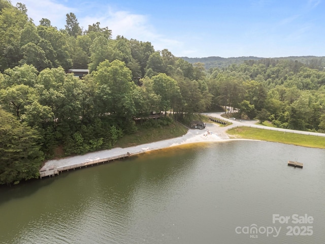 158 Raven Blvd, Lake Lure, NC 28746 - aerial view of property's location featuring a large body of water and a forest