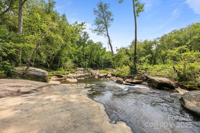 158 Raven Blvd, Lake Lure, NC 28746 - water view featuring a forest