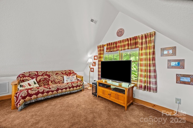 158 Raven Blvd, Lake Lure, NC 28746 - living area with vaulted ceiling, carpet flooring, a textured ceiling, and baseboards