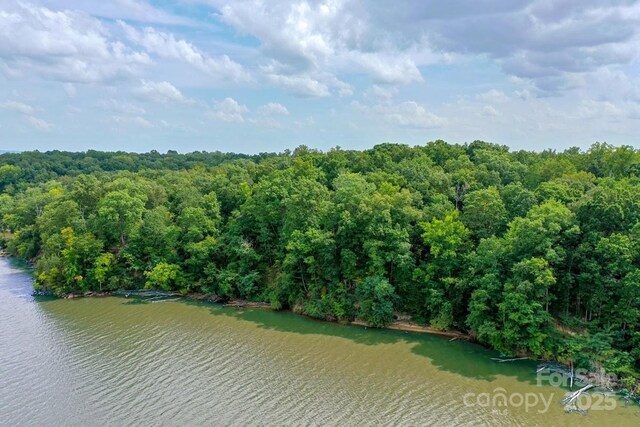 238 Bluff Ln, Salisbury, NC 28146 - photo 13