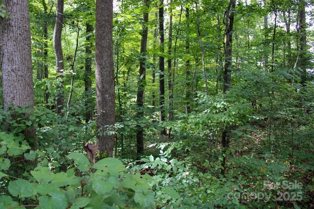 238 Bluff Ln, Salisbury, NC 28146 - photo 16