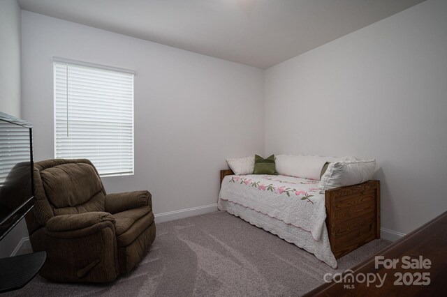 250 Winford Rd, Troutman, NC 28166 - photo 27