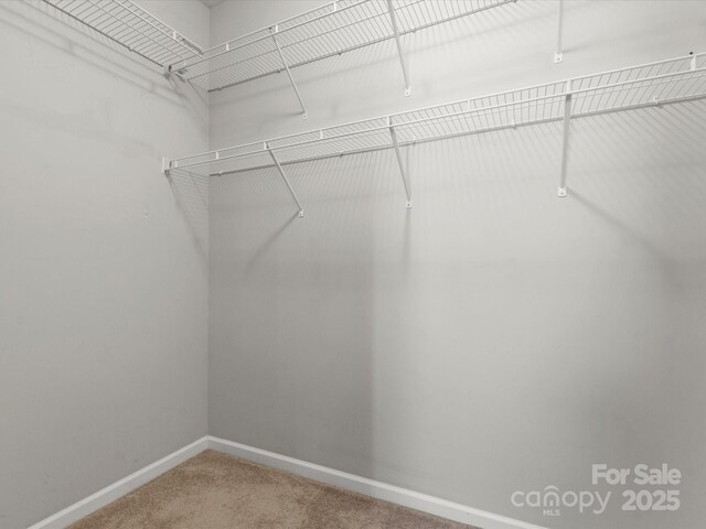 1660 Beleek Ridge Ln, Lake Wylie, SC 29710 - walk in closet featuring carpet flooring