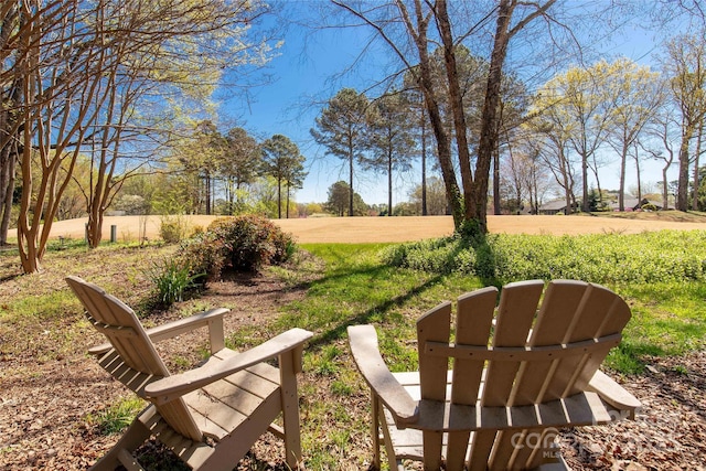 22 Honeysuckle Ln, Clover, SC 29710 - view of yard