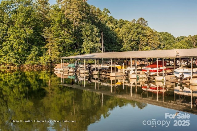 22 Honeysuckle Ln, Clover, SC 29710 - dock area with a water view, a wooded view, and boat lift