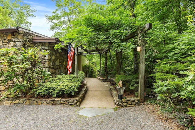 21 Rhododendron Rd, Black Mountain, NC 28711 - view of yard