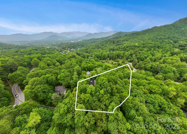 21 Rhododendron Rd, Black Mountain, NC 28711 - aerial view of property's location with a forest, property parcel outlined, and a mountain backdrop