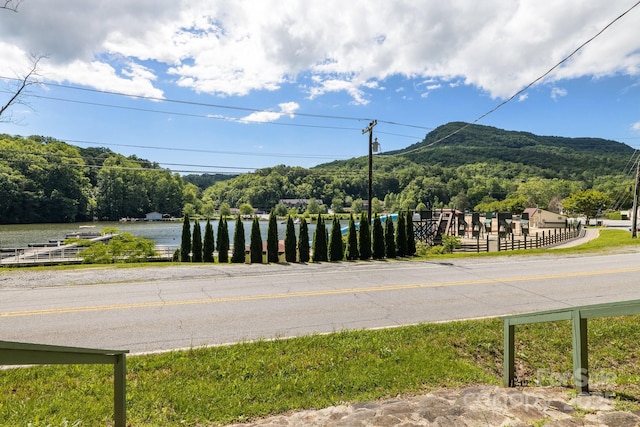 2827 Memorial Hwy, Lake Lure, NC 28746 - view of mountain backdrop