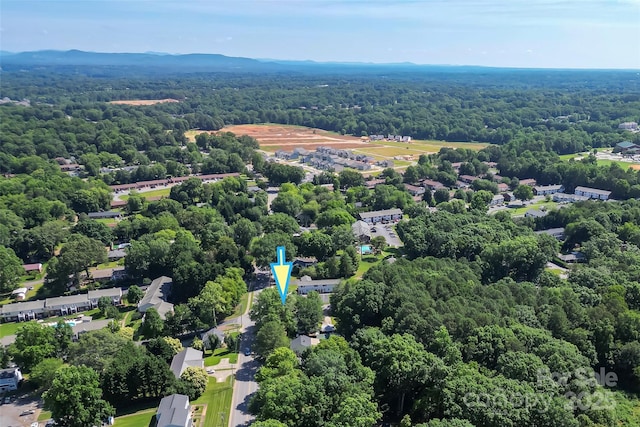1072 5th St NE, Hickory, NC 28601 - bird's eye view of a forest