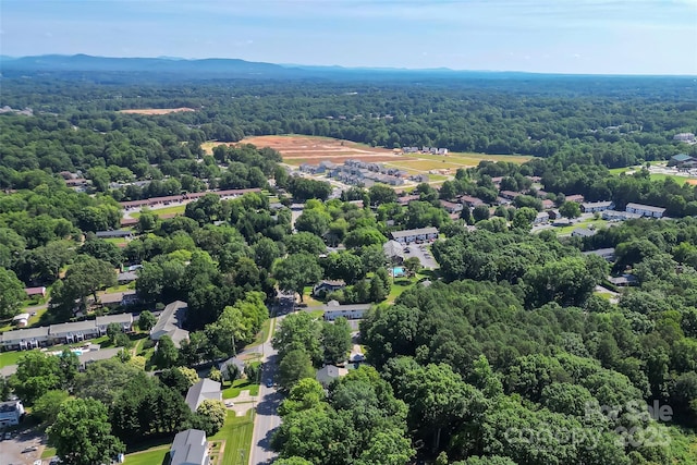 1072 5th St NE, Hickory, NC 28601 - drone / aerial view of a forest