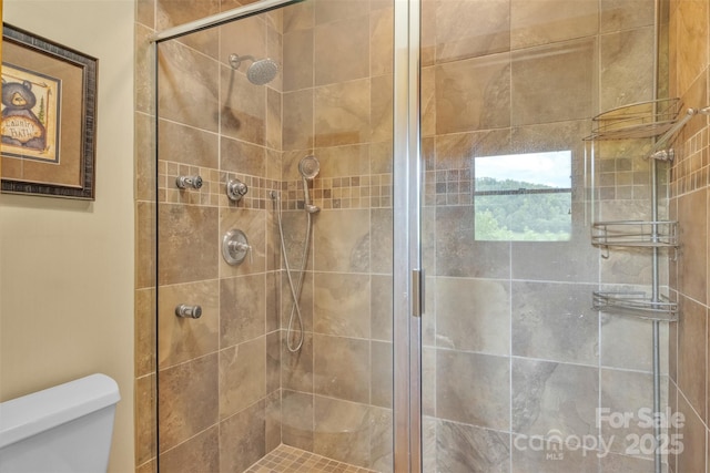 265 Laurel Mountain Estates Dr, Todd, NC 28684 - bathroom with toilet and a stall shower