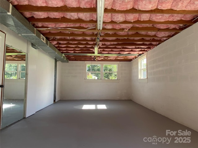 1300 Montgomery Ave, Albemarle, NC 28001 - below grade area with concrete block wall
