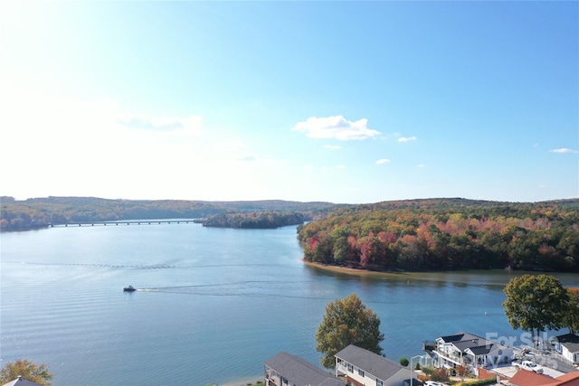 141 Badin Lake Cir, New London, NC 28127 - water view with a heavily wooded area