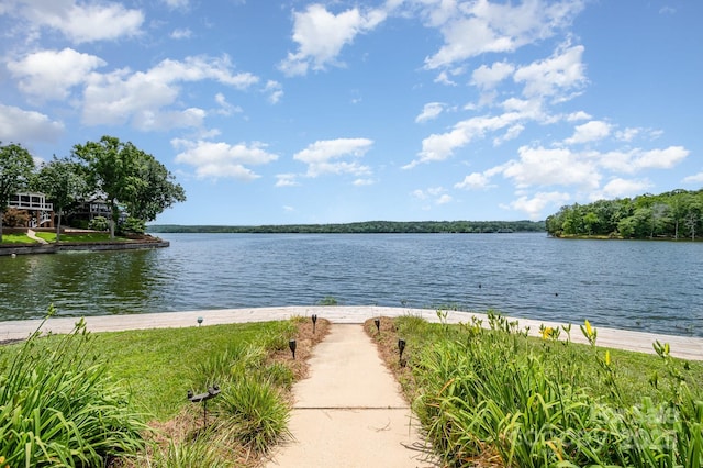 141 Badin Lake Cir, New London, NC 28127 - water view