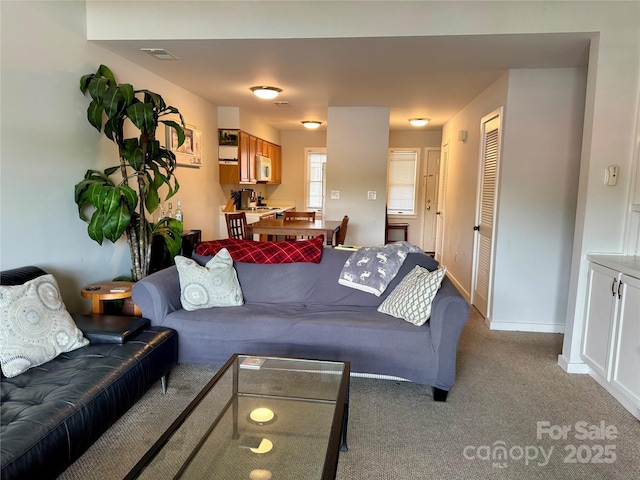 116 Grand Blvd Unit 4-B, Boone, NC 28607 - living room featuring light carpet and baseboards