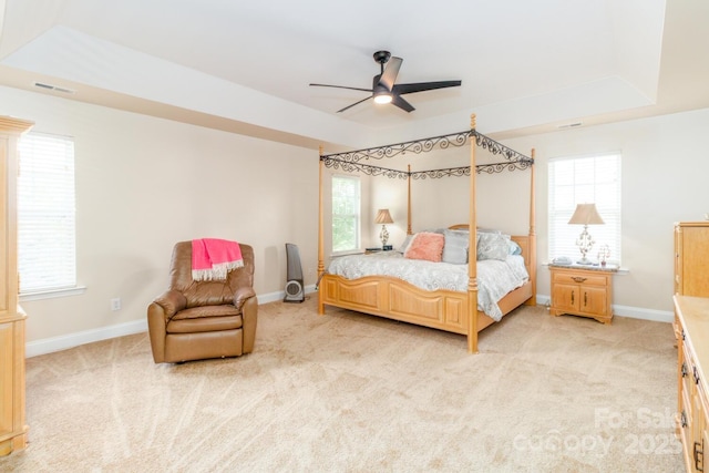 1006 Apogee Dr, Indian Trail, NC 28079 - bedroom featuring light carpet, a raised ceiling, and multiple windows