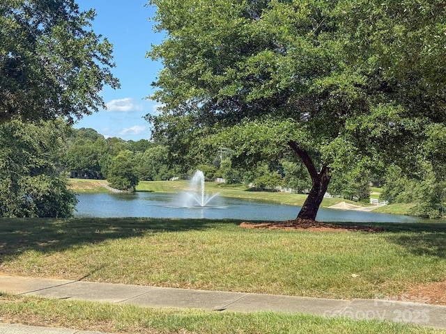 1006 Apogee Dr, Indian Trail, NC 28079 - view of home's community featuring a water view and a lawn