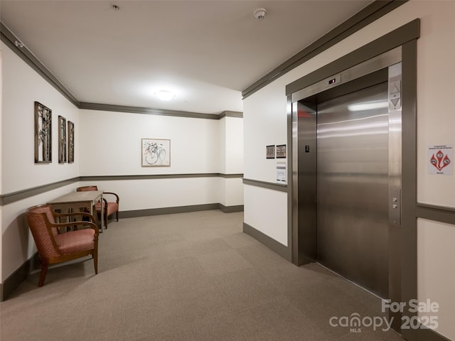 5 Farleigh St Unit 206, Asheville, NC 28803 - photo 5