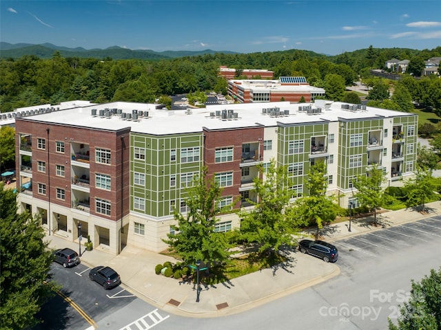 5 Farleigh St Unit 206, Asheville, NC 28803 - photo 38