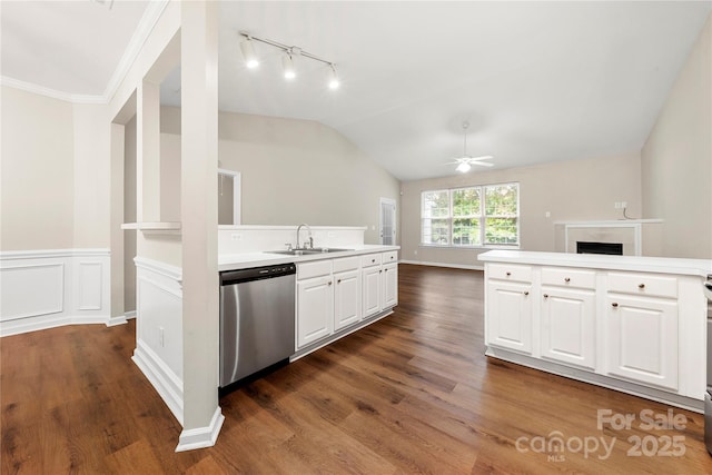 4510 Glenlea Commons Dr, Charlotte, NC 28216 - kitchen featuring stainless steel dishwasher, a sink, a ceiling fan, dark wood-style flooring, and a fireplace