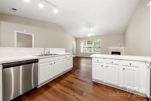 4510 Glenlea Commons Dr, Charlotte, NC 28216 - kitchen featuring stainless steel dishwasher, a sink, vaulted ceiling, track lighting, and a fireplace