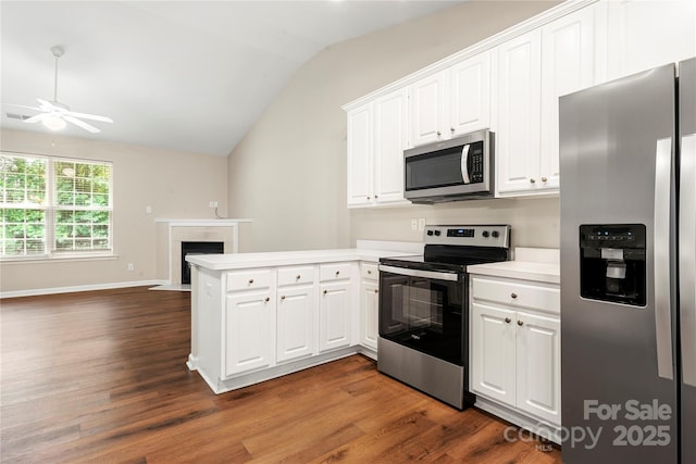 4510 Glenlea Commons Dr, Charlotte, NC 28216 - kitchen featuring stainless steel appliances, a peninsula, lofted ceiling, ceiling fan, and a fireplace with flush hearth