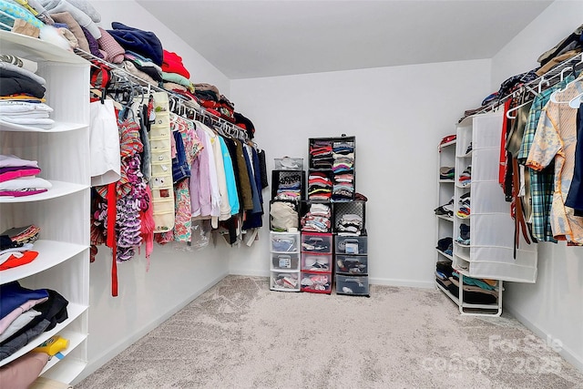 13140 Sudwick Ln, Charlotte, NC 28278 - walk in closet featuring carpet flooring