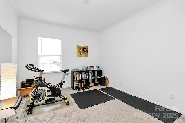 13140 Sudwick Ln, Charlotte, NC 28278 - exercise area with carpet, baseboards, and ornamental molding