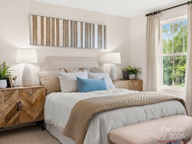 12016 Basking Dr, Charlotte, NC 28214 - bedroom featuring carpet floors