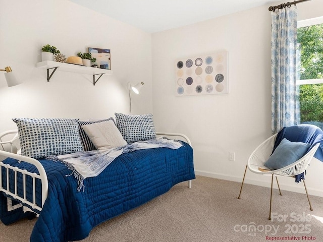 12016 Basking Dr, Charlotte, NC 28214 - bedroom featuring carpet floors and baseboards