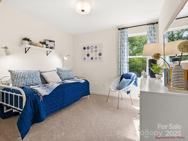 12016 Basking Dr, Charlotte, NC 28214 - bedroom featuring carpet and baseboards