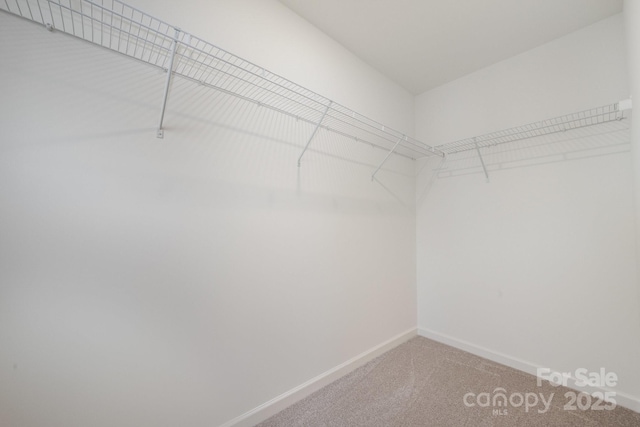12016 Basking Dr, Charlotte, NC 28214 - photo 17