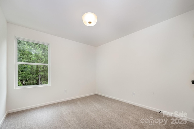 12016 Basking Dr, Charlotte, NC 28214 - photo 18