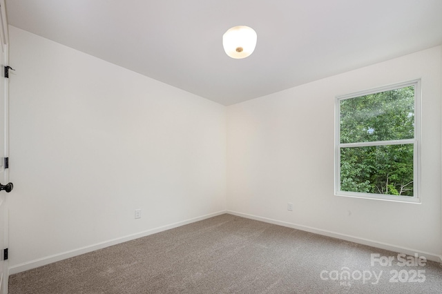 12016 Basking Dr, Charlotte, NC 28214 - photo 19