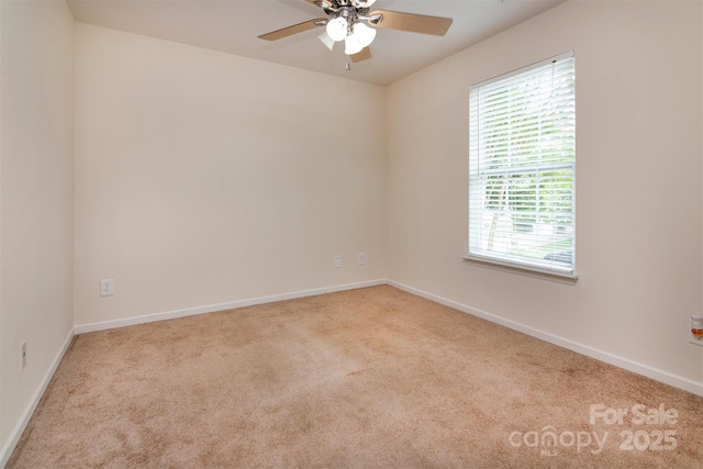 7623 Monarch Birch Ln, Charlotte, NC 28215 - empty room with carpet flooring, ceiling fan, plenty of natural light, and baseboards
