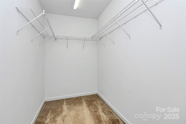 1817 Tradd Ave, Clover, SC 29710 - spacious closet featuring carpet flooring