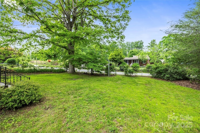 220 W College St, Black Mountain, NC 28711 - view of yard